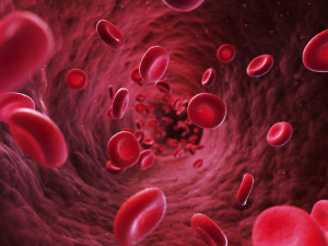 3d rendered illustration - blood cells